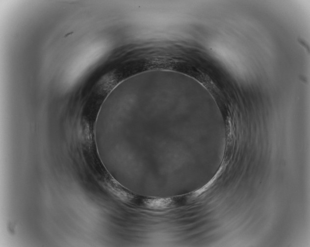 X0000091180191200708161525