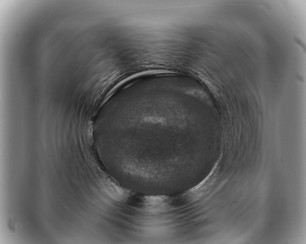 X0000091180192200708161525