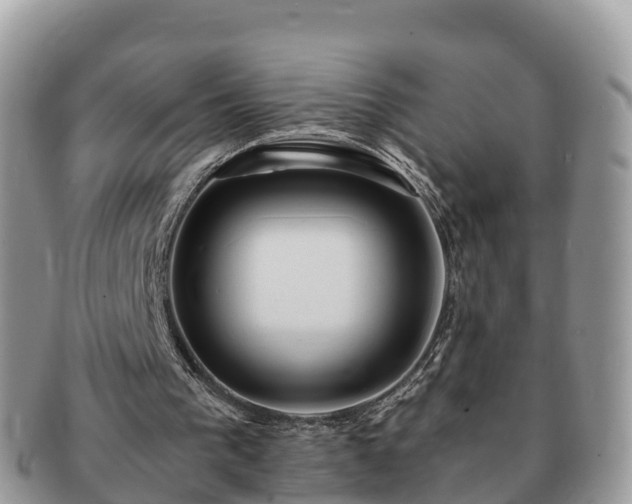 X0000091180193200708161524