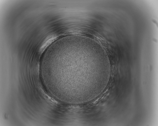 X0000091180194200708161524