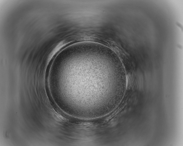 X0000091180195200708161524