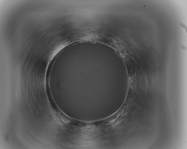 X0000091180196200708161524
