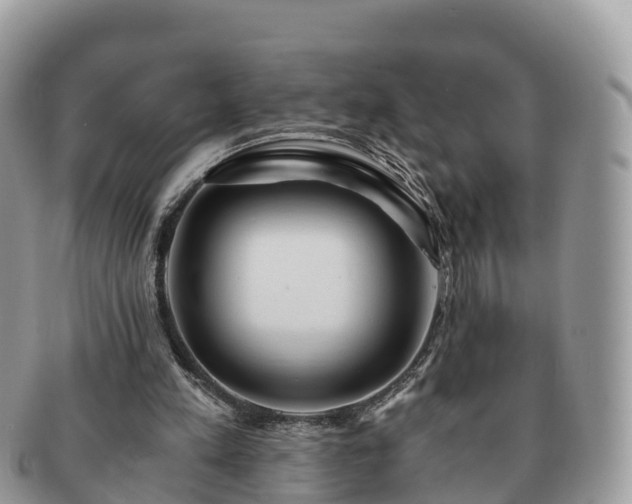 X0000091180197200708161524