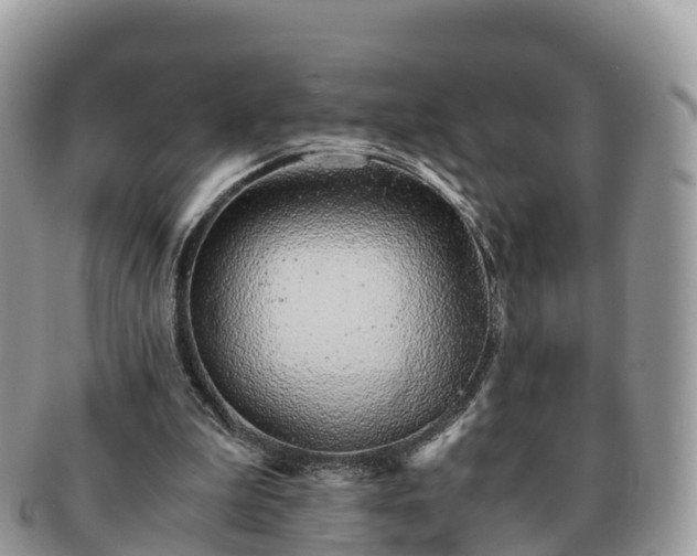 X0000091180199200708161524