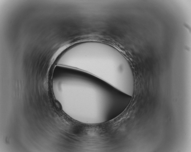 X0000091180200200708161524