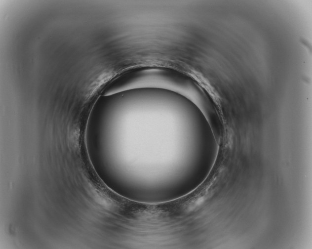 X0000091180201200708161524