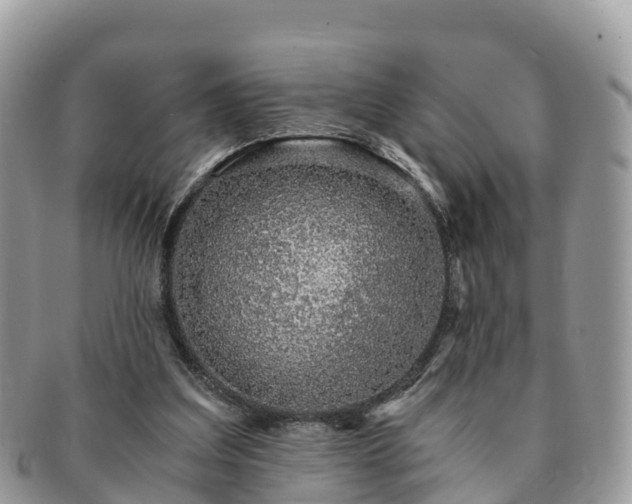 X0000091180203200708161524