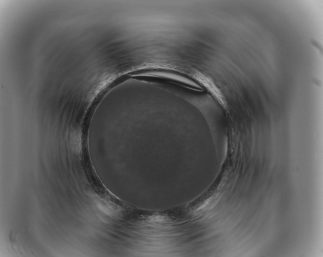 X0000091180204200708161524