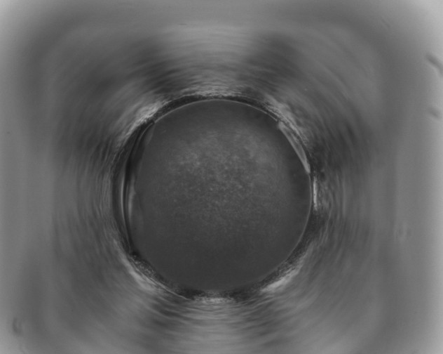 X0000091180205200708161524