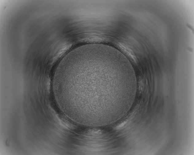 X0000091180206200708161524