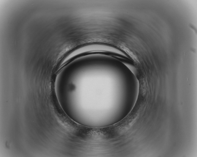 X0000091180207200708161524