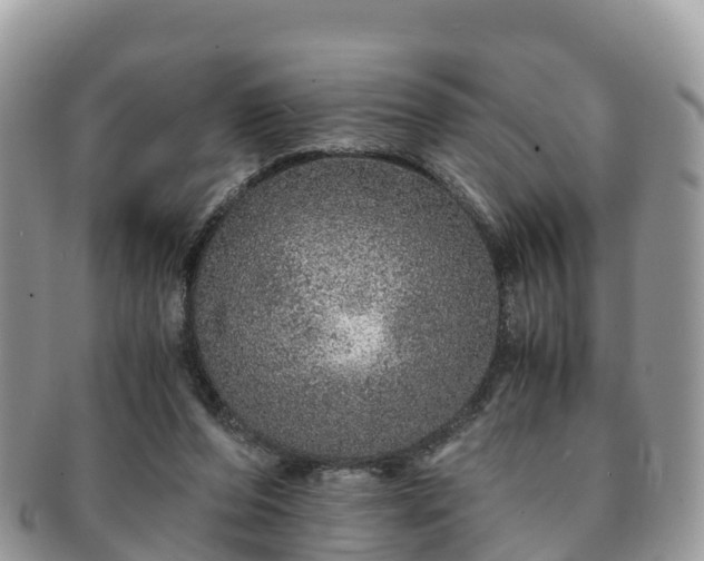 X0000091180208200708161524