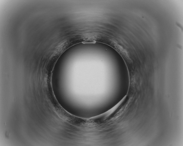 X0000091180209200708161524