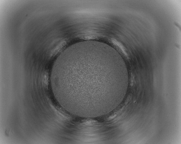 X0000091180210200708161524