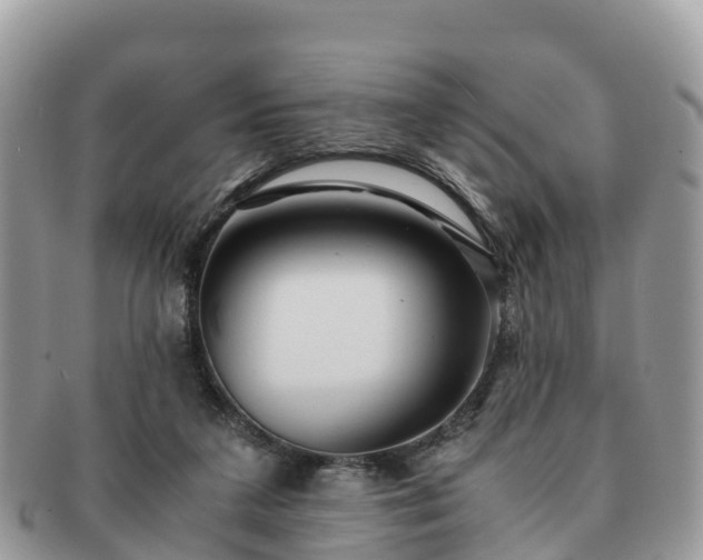 X0000091180211200708161524