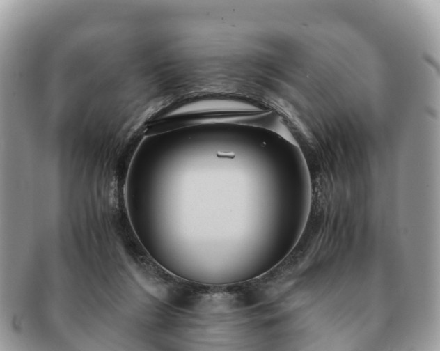 X0000091180212200708161524
