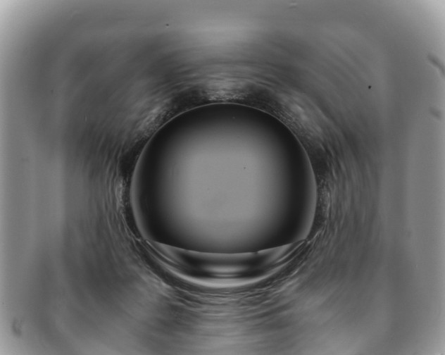 X0000091180219200708161524