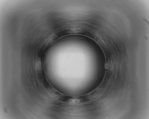 X0000091180220200708161524