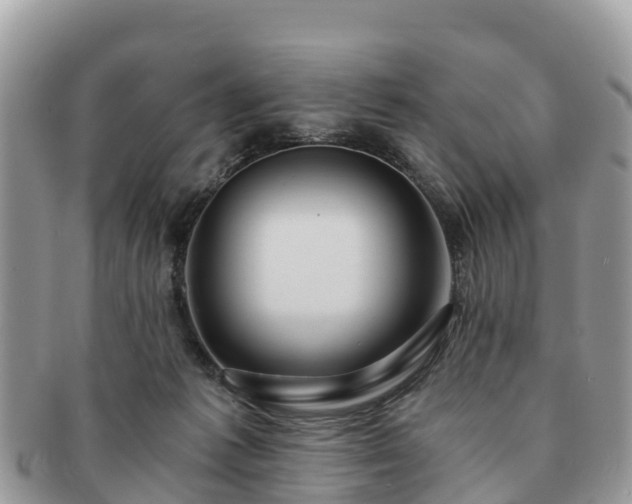 X0000091180221200708161524