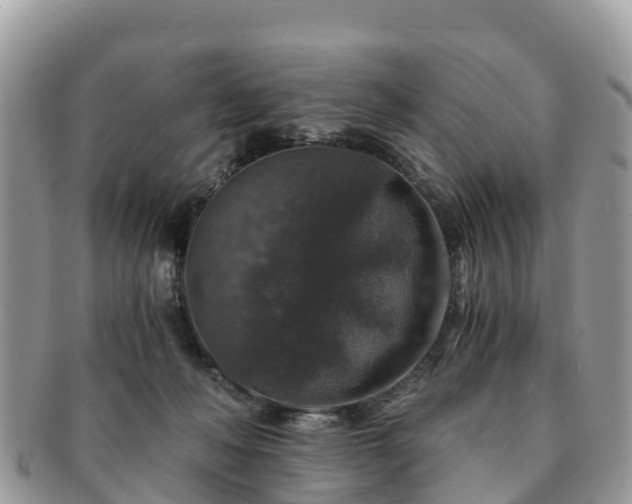 X0000091180222200708161524