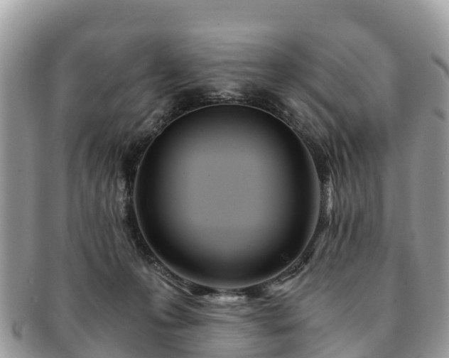 X0000091180223200708161524