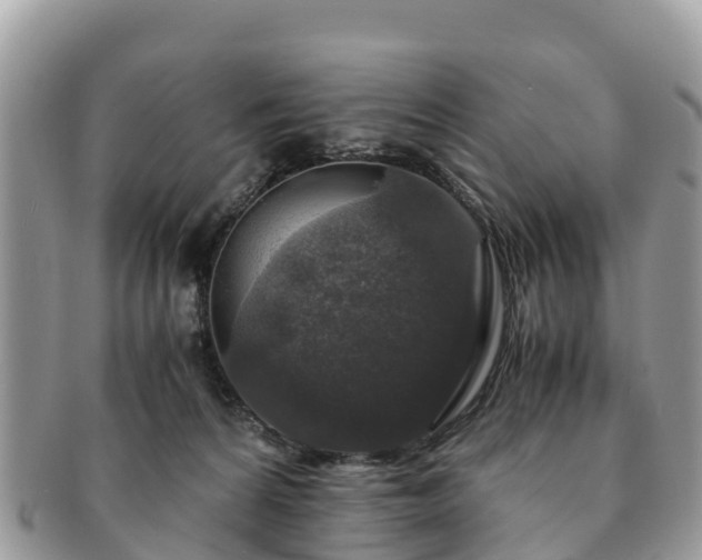 X0000091180224200708161524