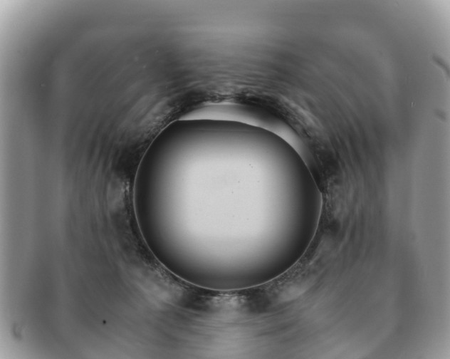 X0000091180225200708161524