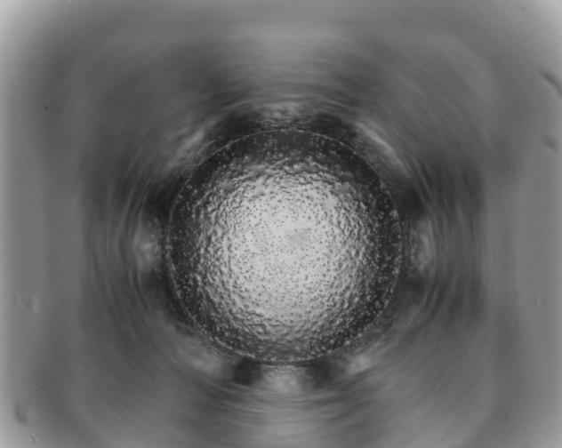X0000091180226200708161524