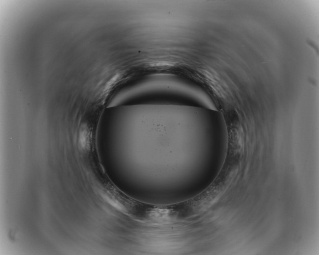 X0000091180227200708161524