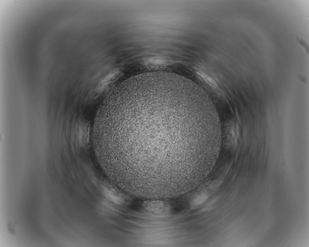 X0000091180230200708161524