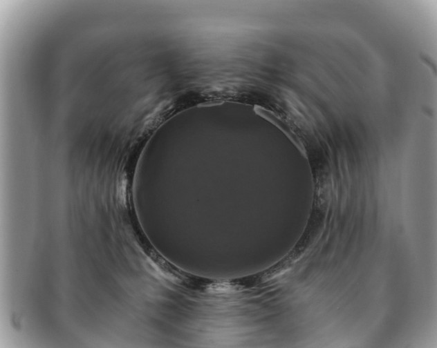 X0000091180231200708161524