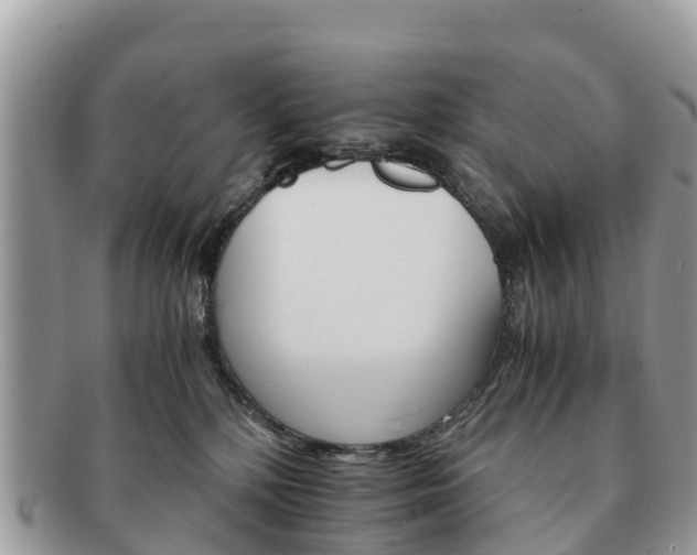 X0000091180232200708161524
