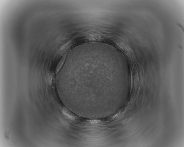 X0000091180233200708161524