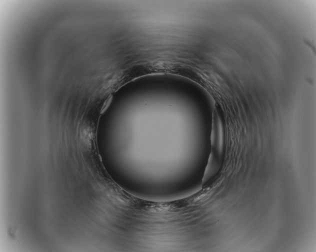 X0000091180235200708161524