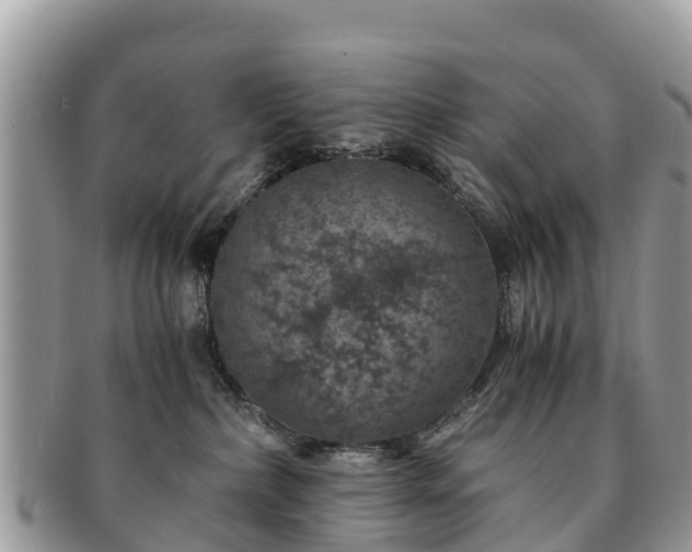 X0000091180236200708161524