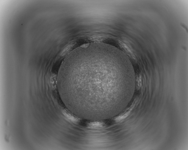 X0000091180237200708161524