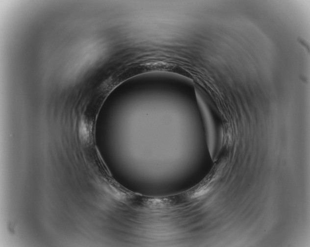 X0000091180239200708161524