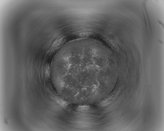 X0000091180240200708161524