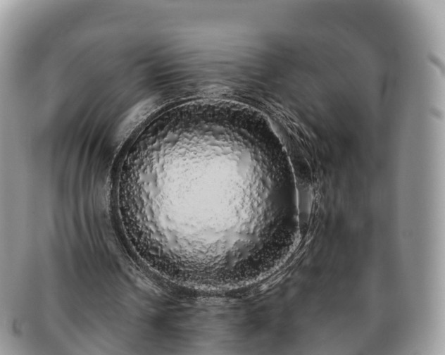 X0000091180242200708161523
