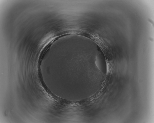 X0000091180243200708161523