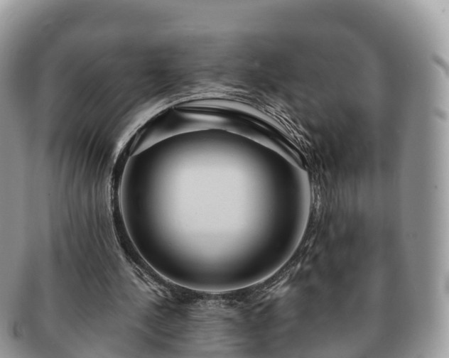 X0000091180244200708161523