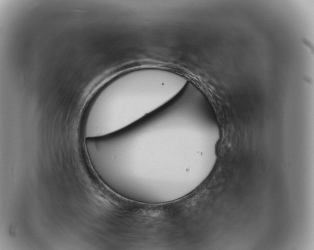 X0000091180247200708161523