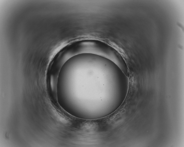 X0000091180248200708161523