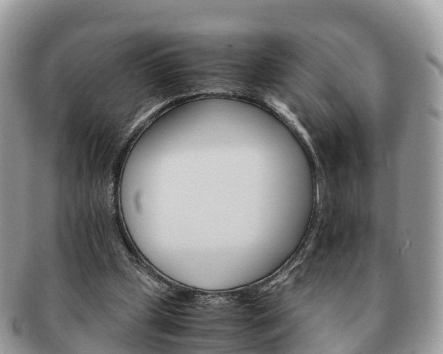 X0000091180249200708161523