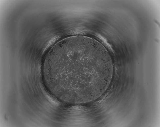 X0000091180250200708161523