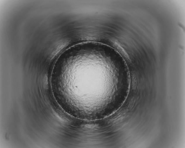 X0000091180251200708161523