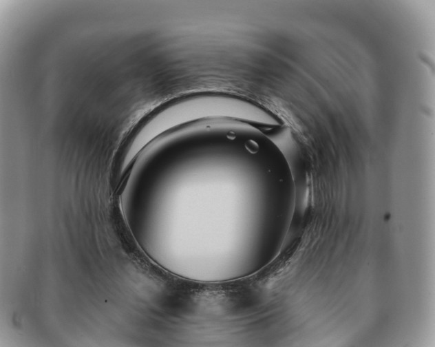 X0000091180252200708161523