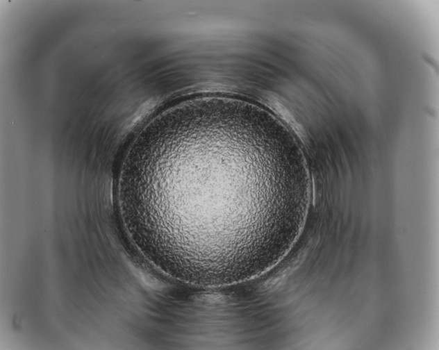 X0000091180253200708161523