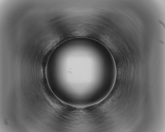 X0000091180254200708161523