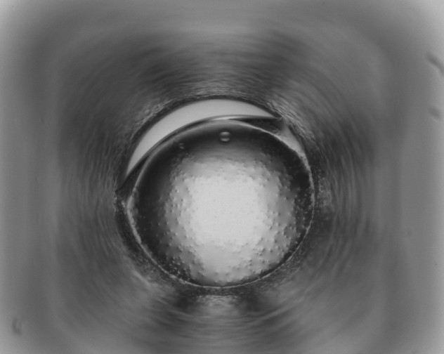 X0000091180255200708161523
